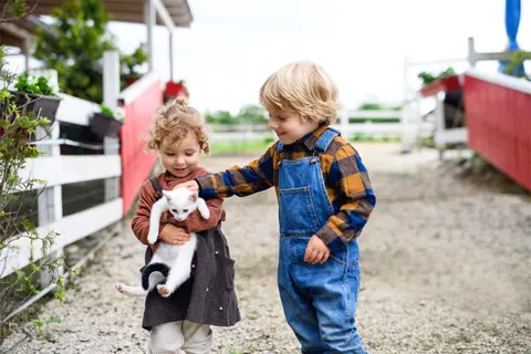 10x leuke dingen doen met het hele gezin