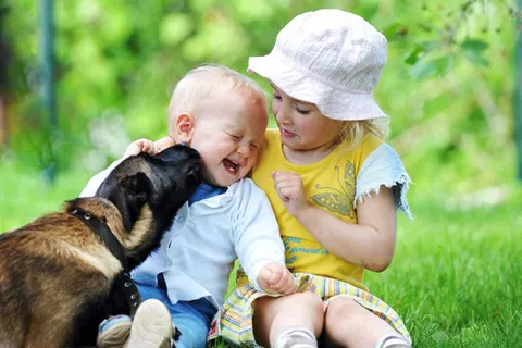 Wat als je peuter bang is voor honden? Begrip, rust en stapjes vooruit