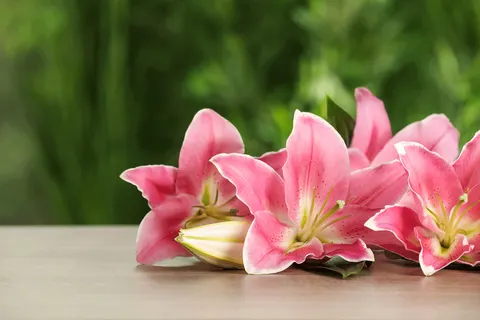 Welke bloemen staan symbool voor afscheid?