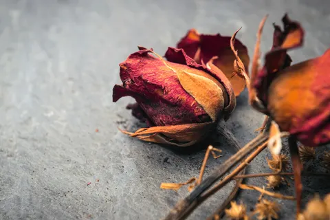 Euthanasie, een emotionele en moeilijke keuze