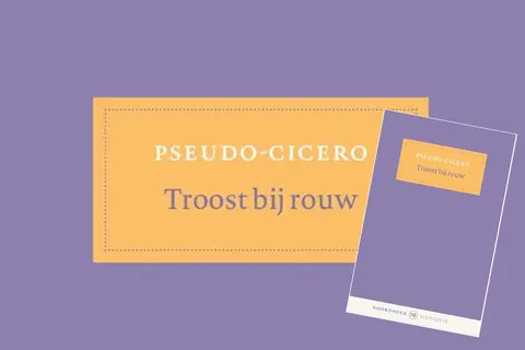 Troost bij rouw: hoe verzacht je je verdriet