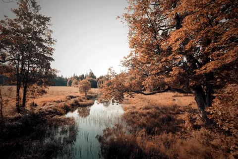Uitvaartlocaties in de natuur