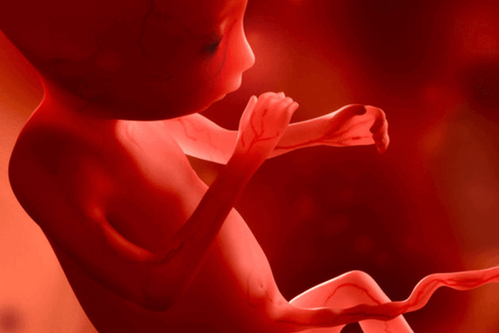 Voorliggende placenta of placenta previa