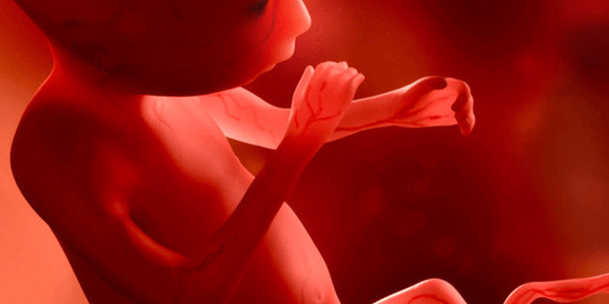 Voorliggende placenta of placenta previa