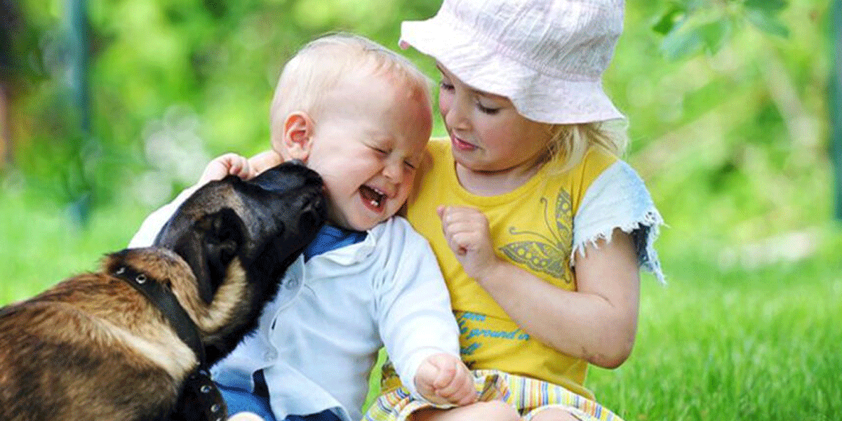 Wat als je peuter bang is voor honden? Begrip, rust en stapjes vooruit