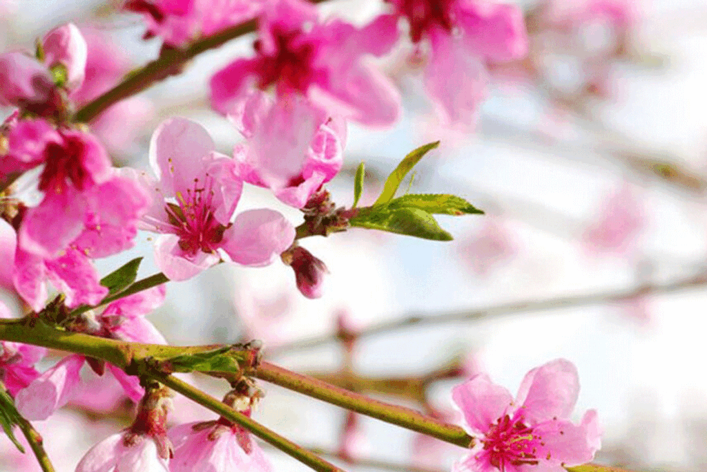 Abortus: wat komt er allemaal bij kijken en hoe ga je ermee om?