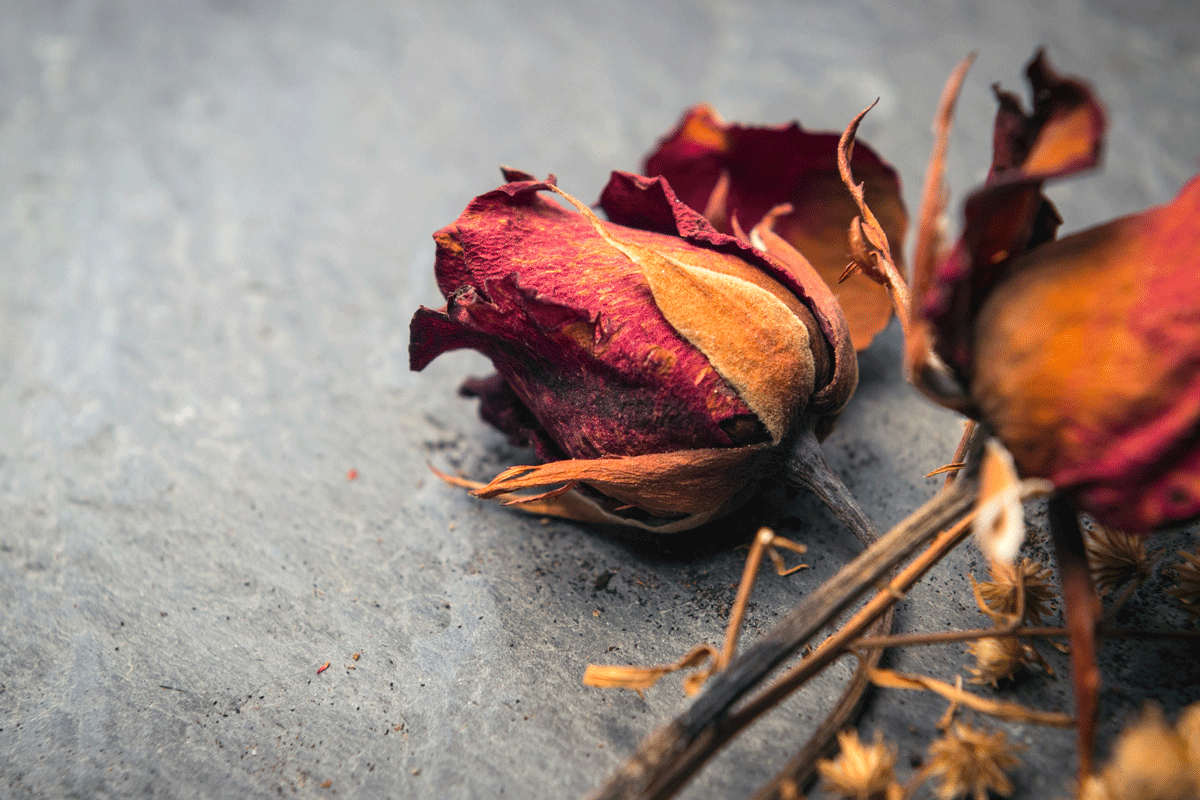 Euthanasie, een emotionele en moeilijke keuze