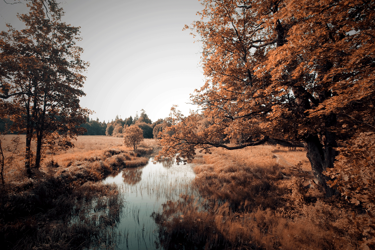 Uitvaartlocaties in de natuur